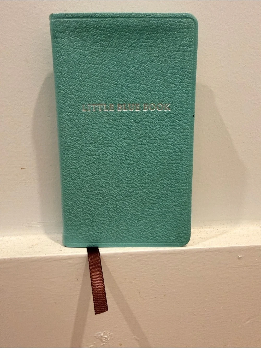 Tiffany & Co. Little Blue Book Leather Journal - Like New 🩵